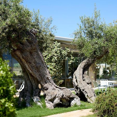 Masseria Torre Del Diamante Torre Canne Ngoại thất bức ảnh