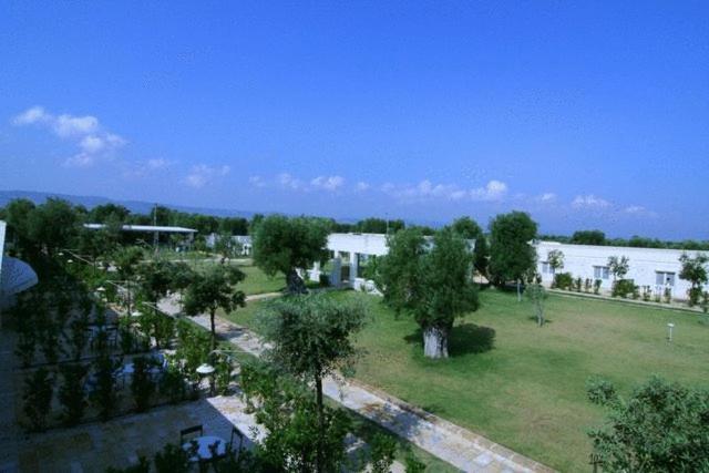 Masseria Torre Del Diamante Torre Canne Ngoại thất bức ảnh