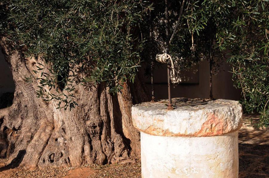 Masseria Torre Del Diamante Torre Canne Ngoại thất bức ảnh