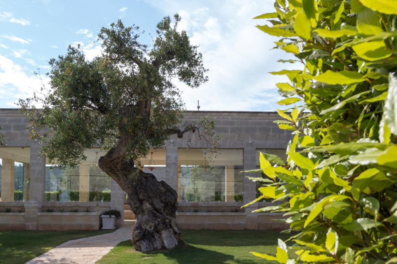 Masseria Torre Del Diamante Torre Canne Ngoại thất bức ảnh