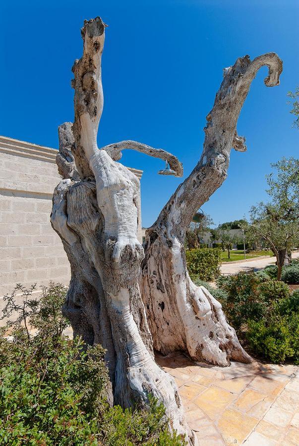 Masseria Torre Del Diamante Torre Canne Ngoại thất bức ảnh