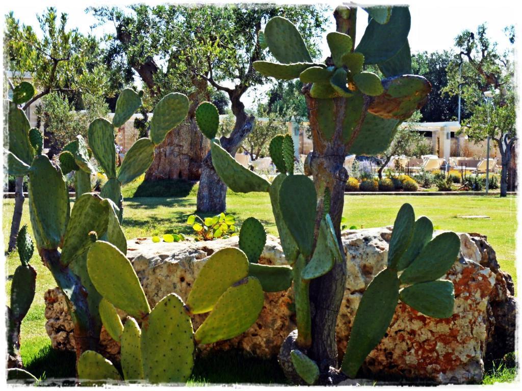 Masseria Torre Del Diamante Torre Canne Ngoại thất bức ảnh